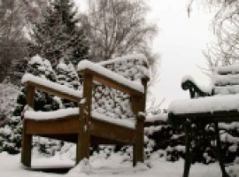Winter tuin
